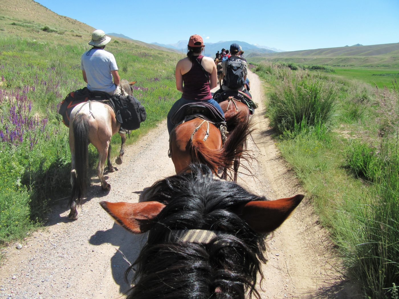 Horse trekking in Kyrgyzstan