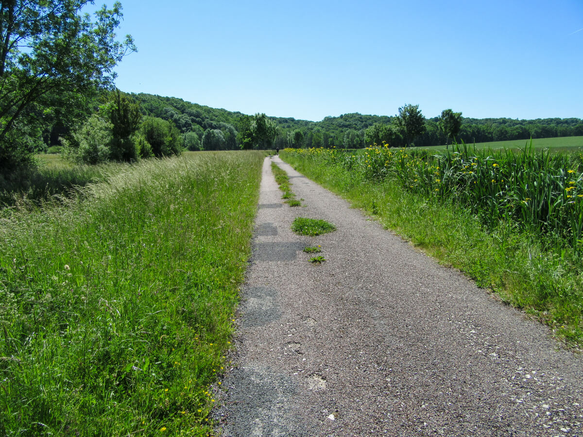 Cycling in France