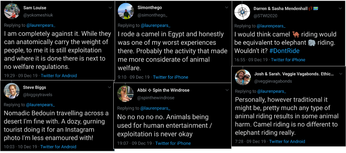 Is camel riding cruel?