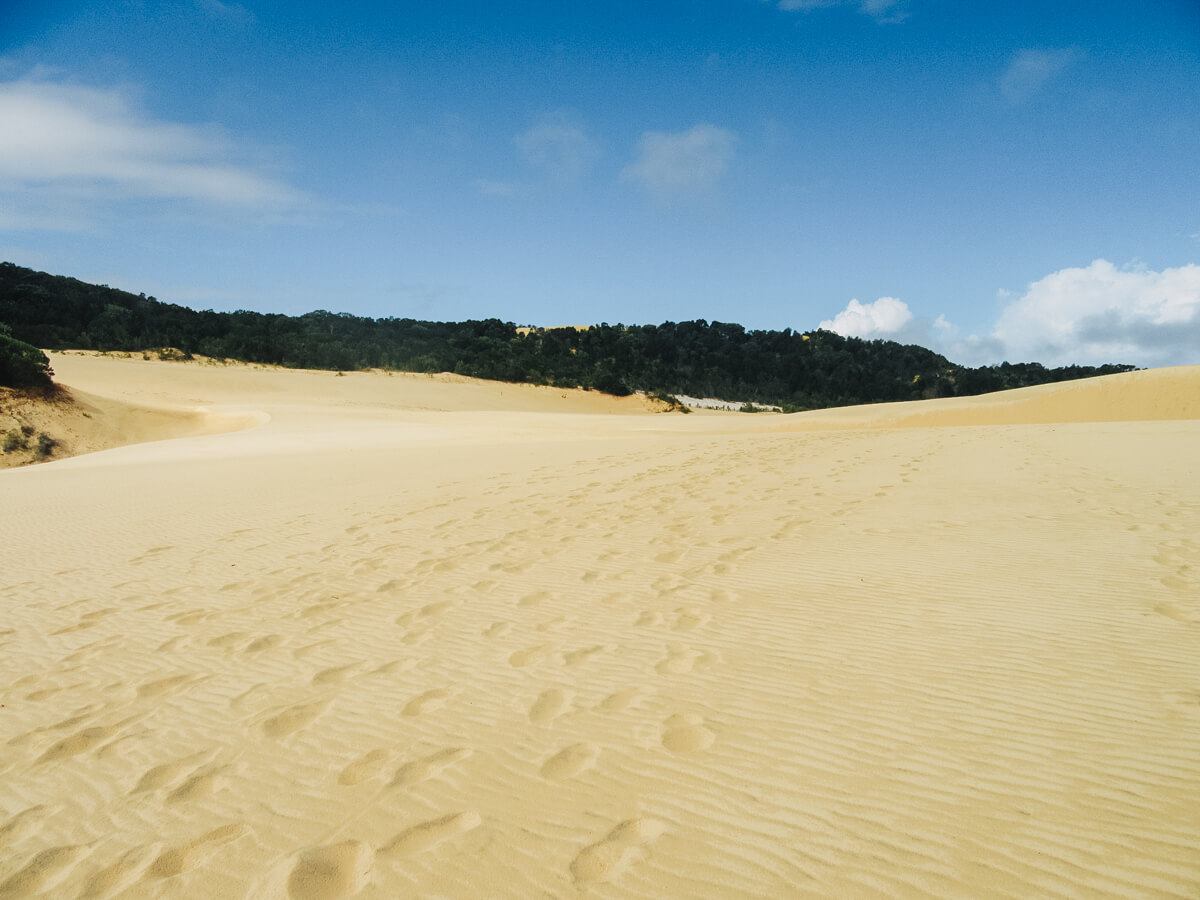 Hammerstone Sandblow, Fraser Island