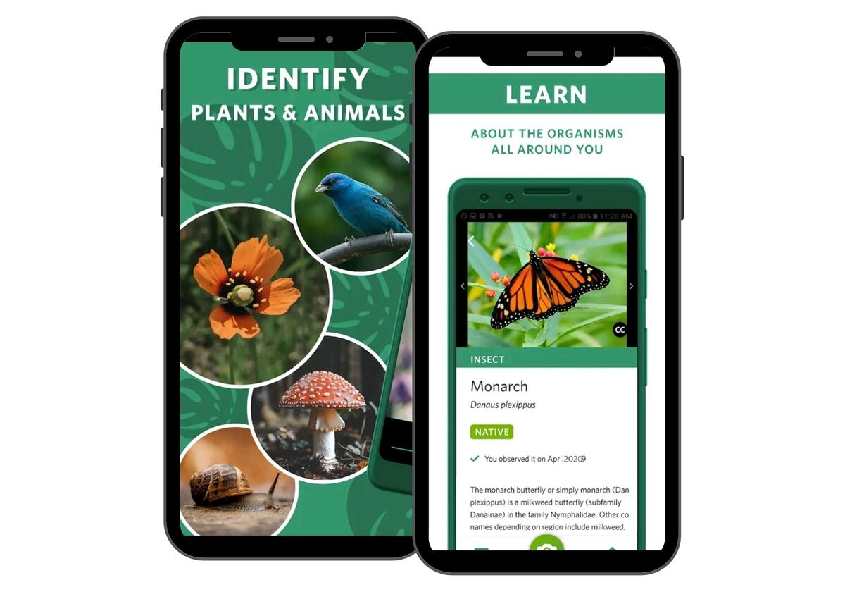 Seek by iNaturalist hiking app