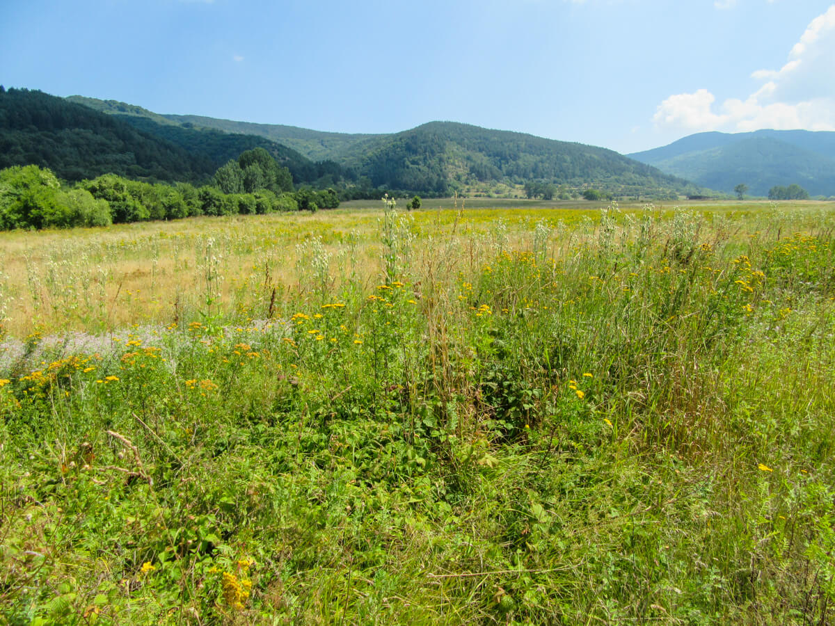 Cycling in Bulgaria