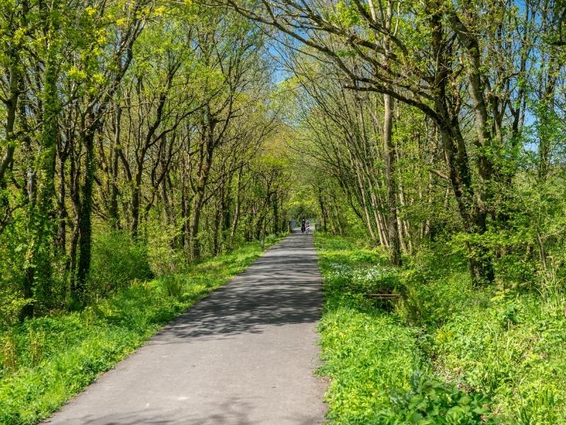 Tarka Trail on the South West Coast Path in  North Devon