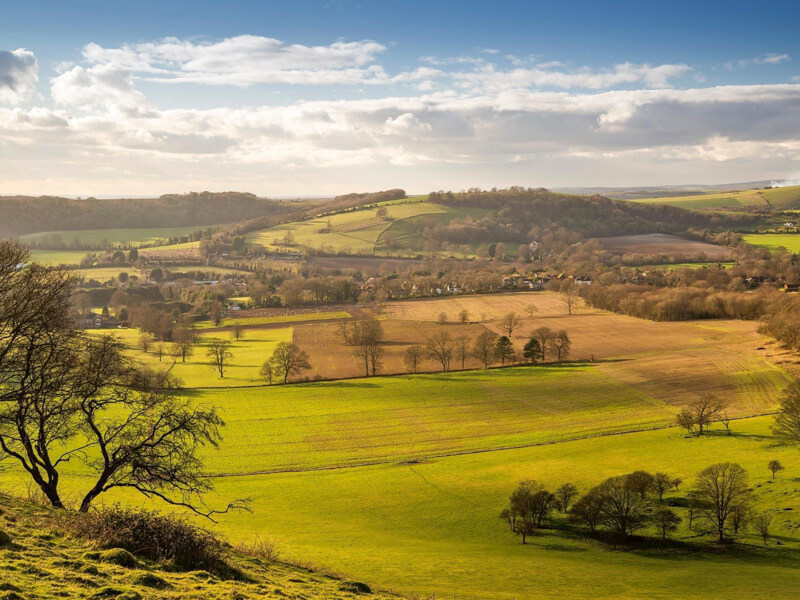 Cissbury Ring is one of the best walks in West Sussex
