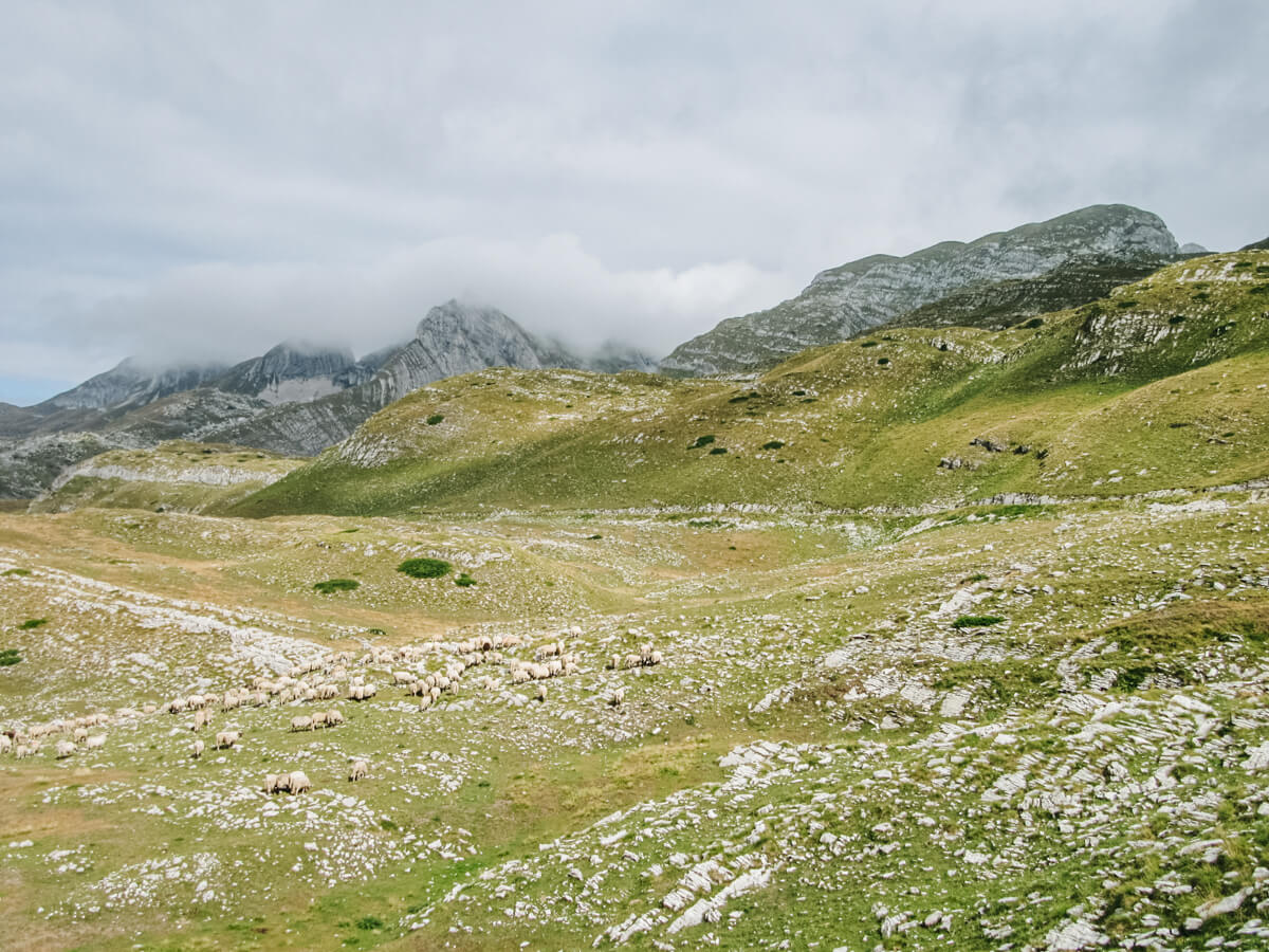 Mount Prutas Hike