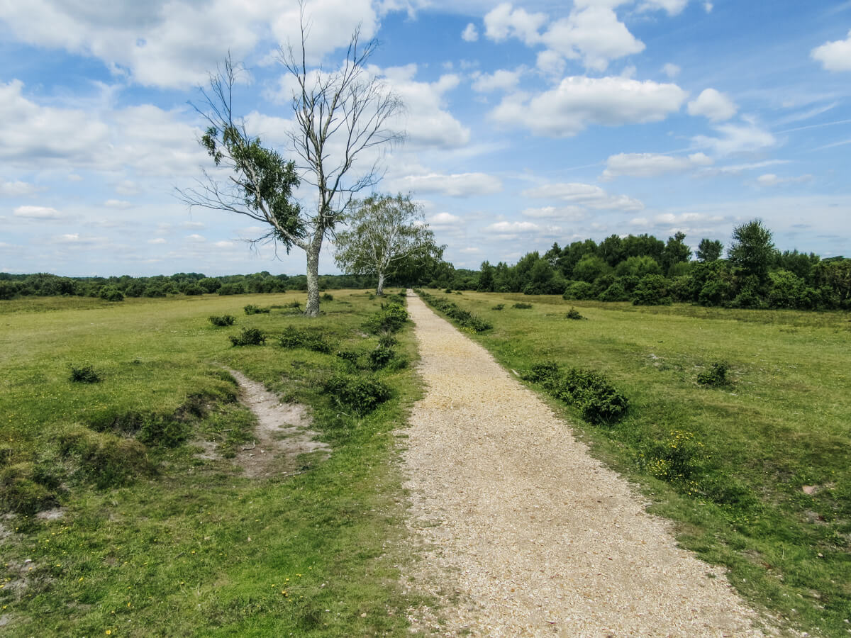2 day New Forest itinerary