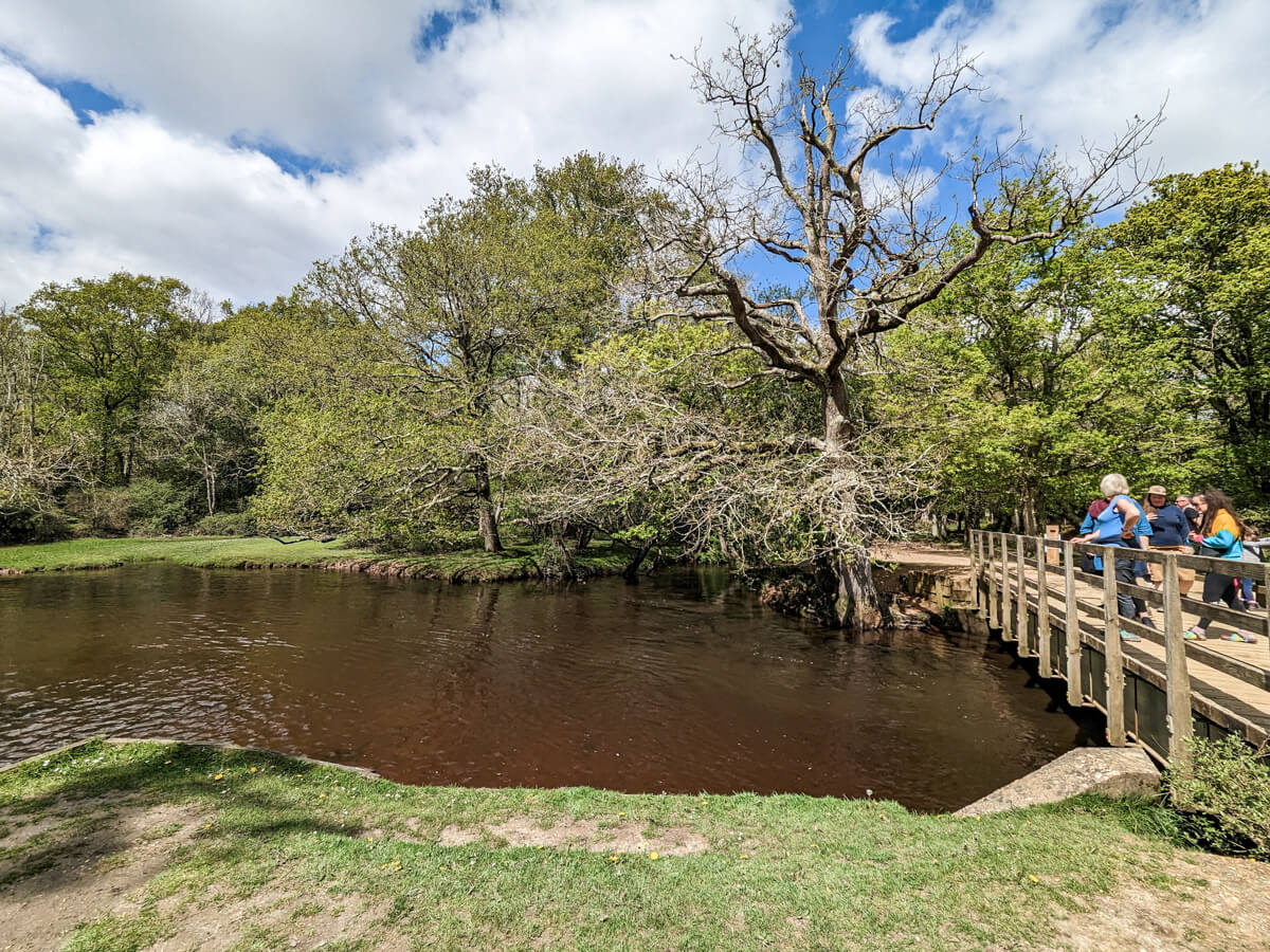 Bolderford Bridge