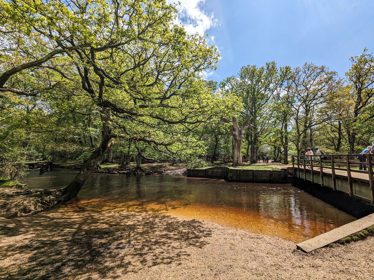Bolderford Picnic Area