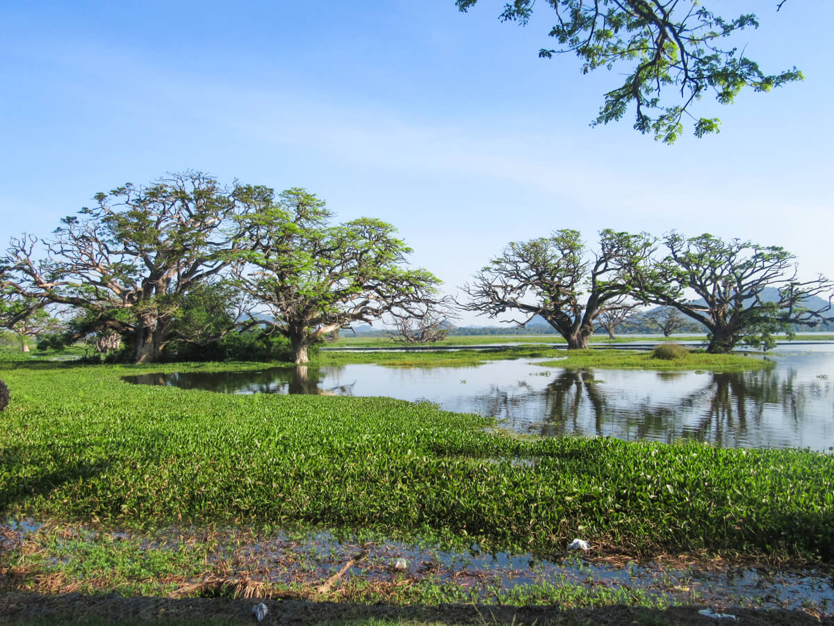 Cycling in Tissamaharama