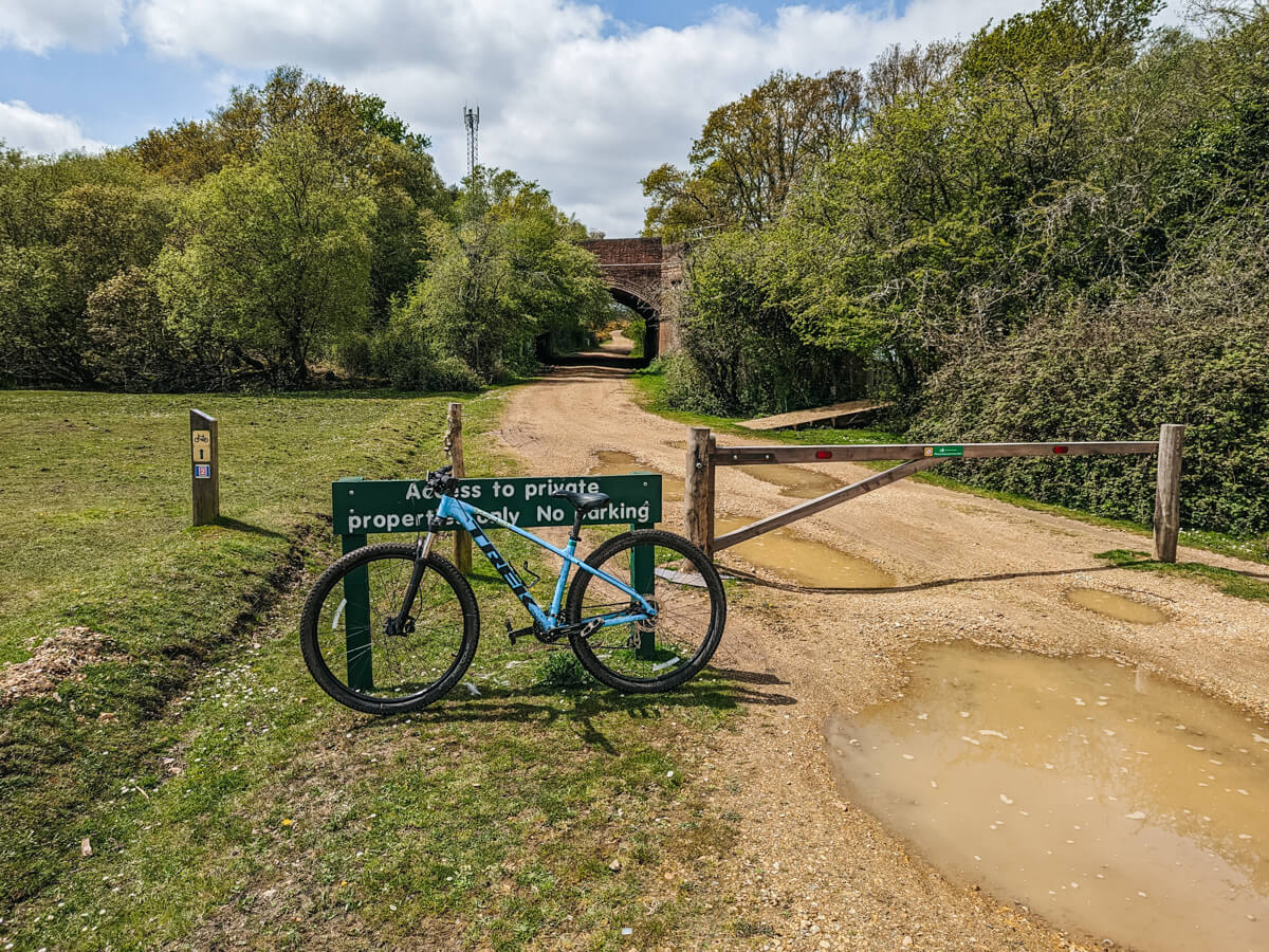 Brockenhurst to Burley Cycle