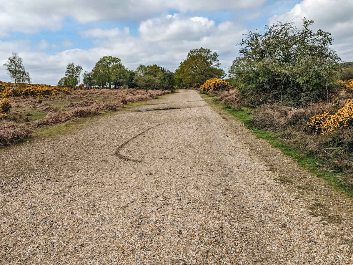 Brockenhurst to Burley Old Railway Route