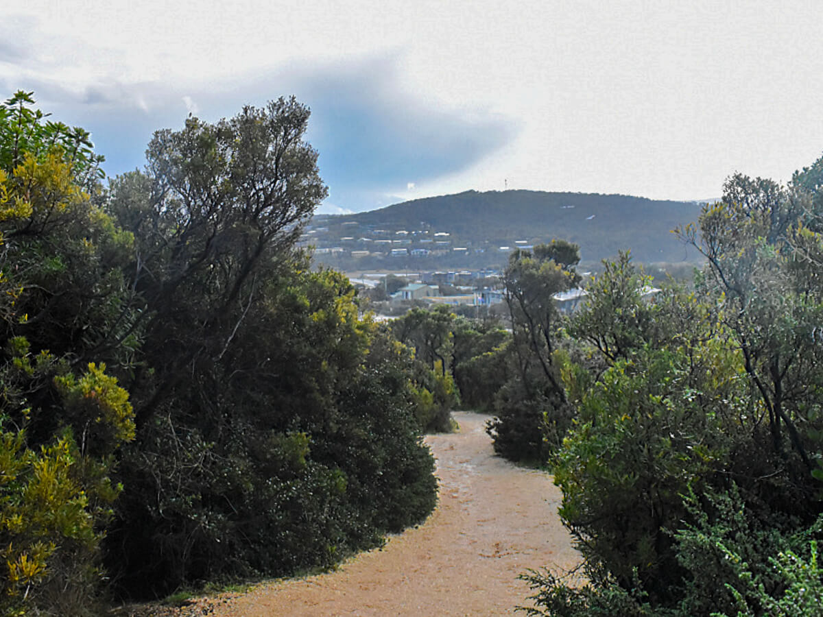 Anglesea to Aireys Inlet