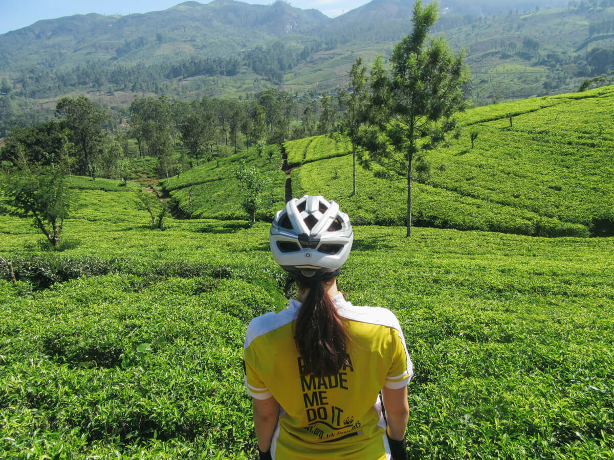 Lauren Pears Hatton Sri Lanka