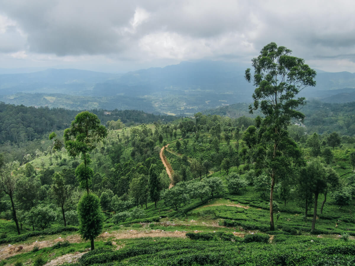 Sri Lanka Central Highlands