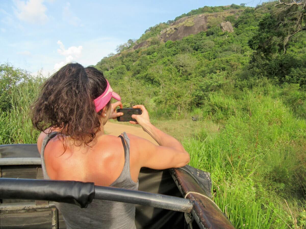 Jeep safari in Minneriya National Park