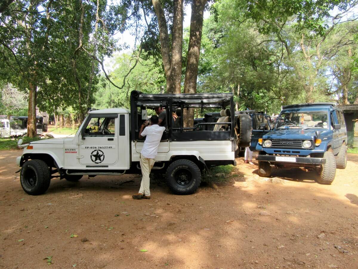 Jeeps waiting outside Minneriya National Park