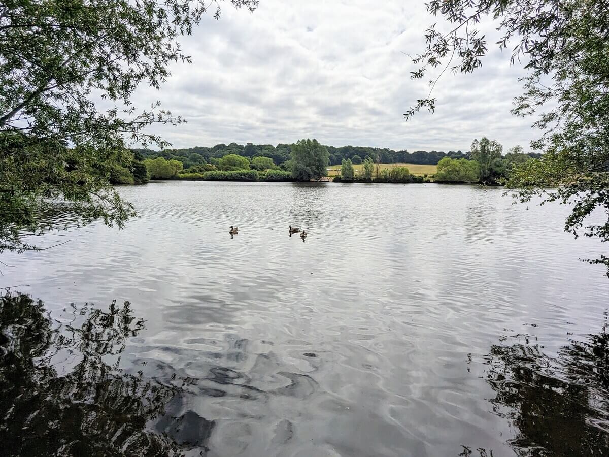 Boating lake at Hainault Forest Country Park