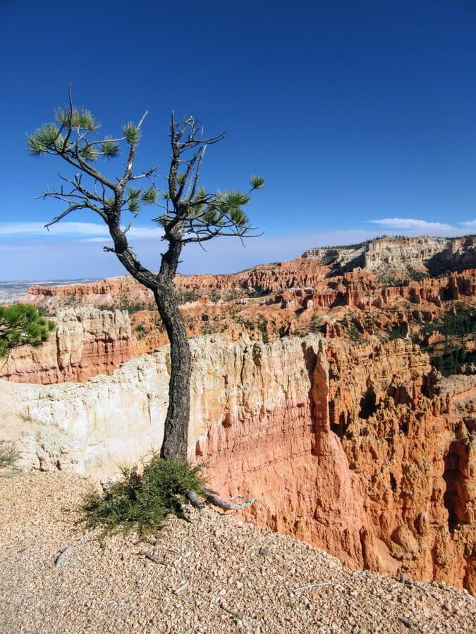 Bryce Canyon