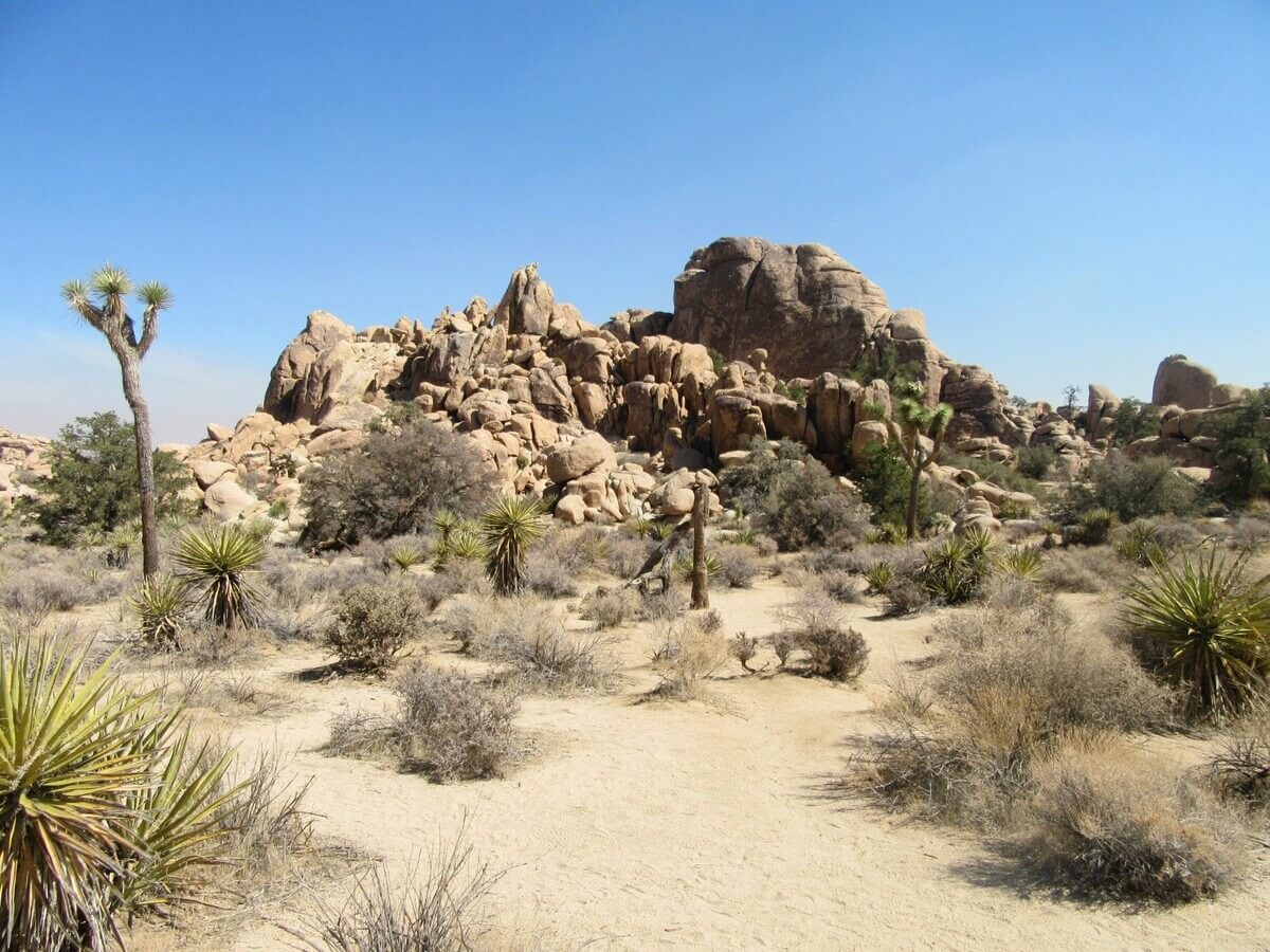 The Hidden Valley Trail in Joshua Tree National Park