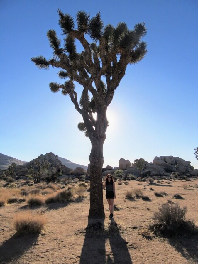 Lauren Pears in Joshua Tree National Park