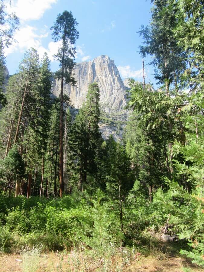 Yosemite National Park