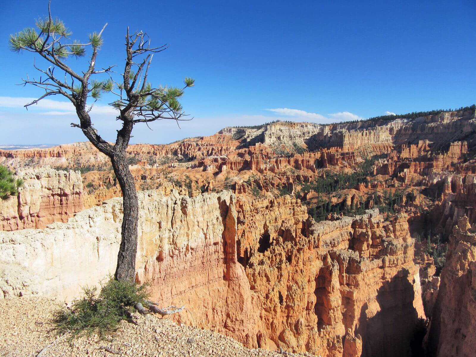 Bryce Canyon National Park