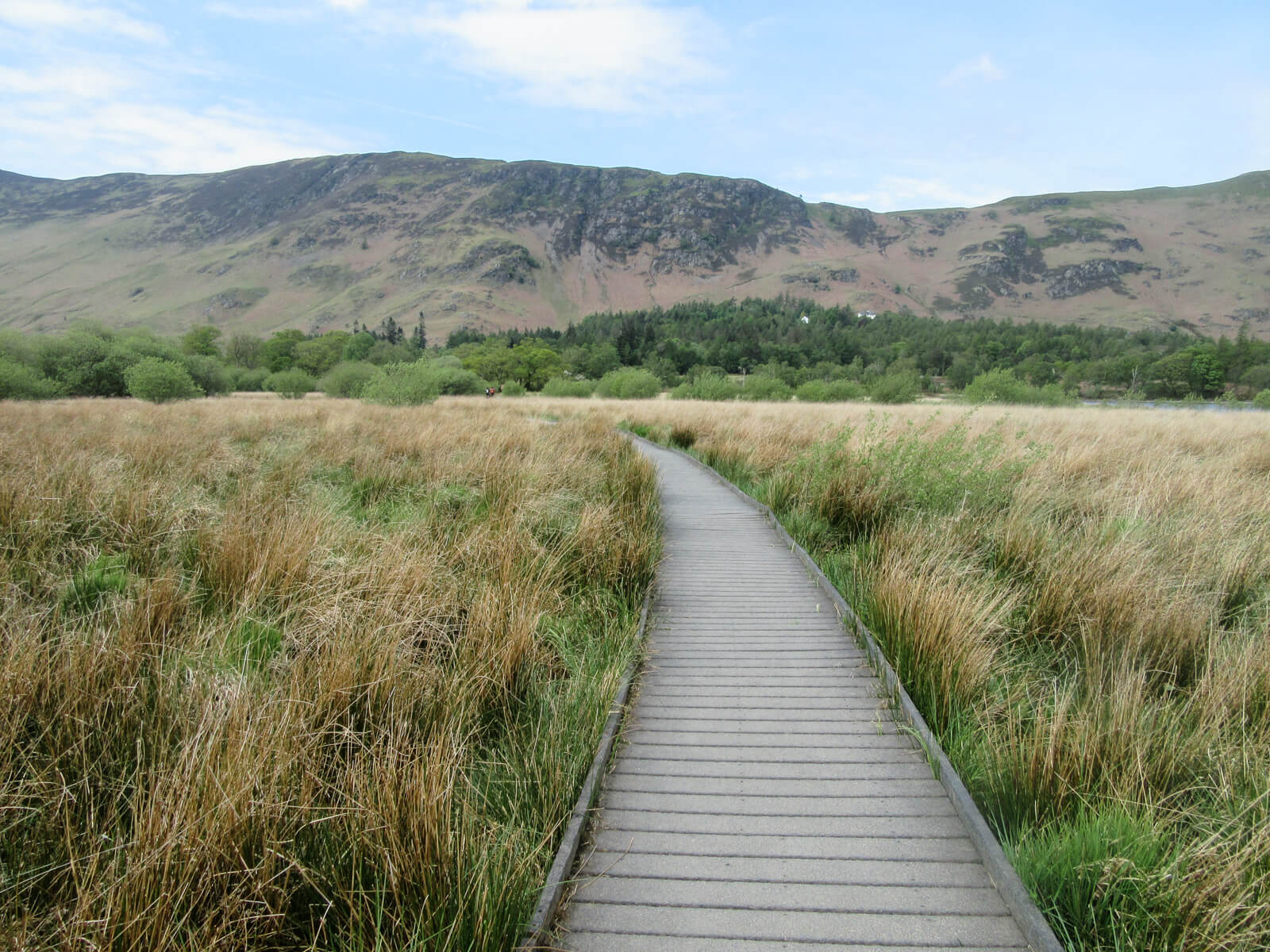 Derwentwater circular walk