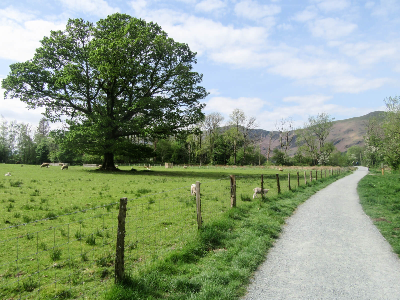 Derwentwater circular walk