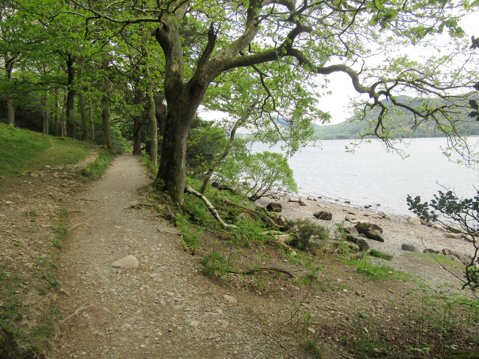 Derwentwater western shore