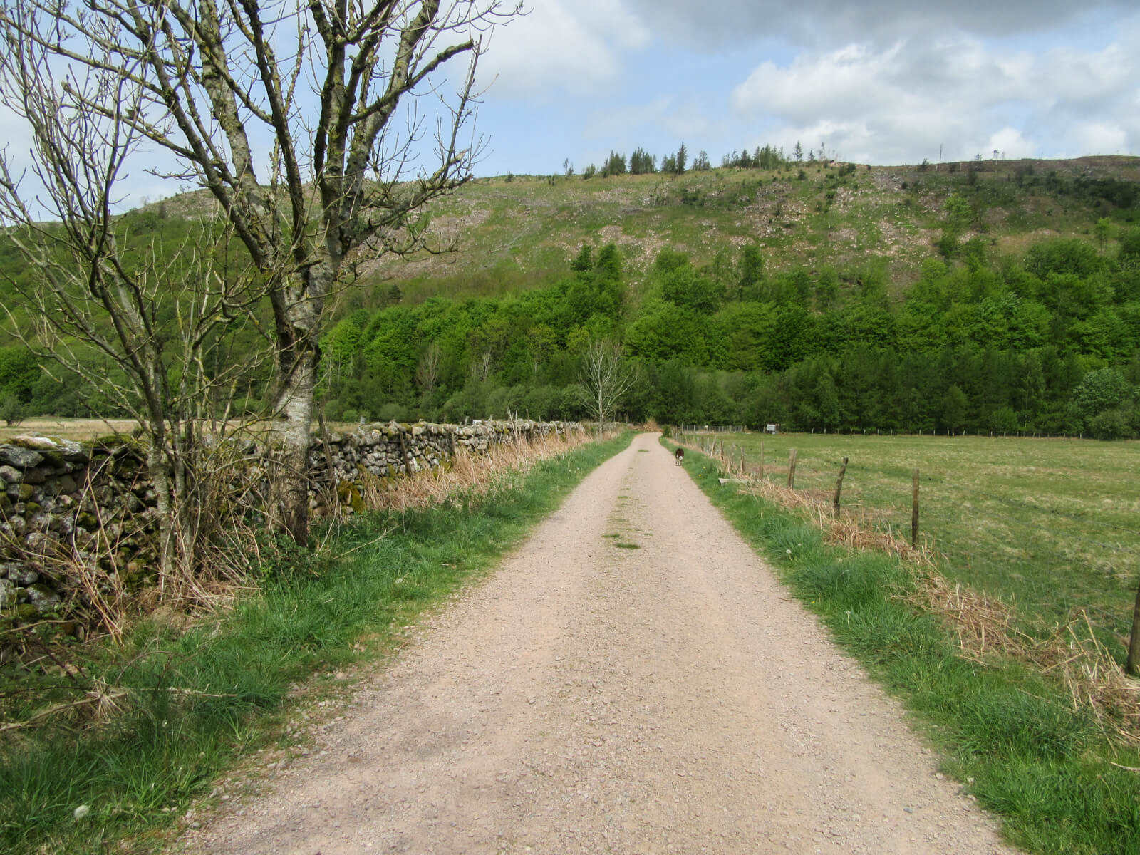 Ennerdale Lakeside Loop