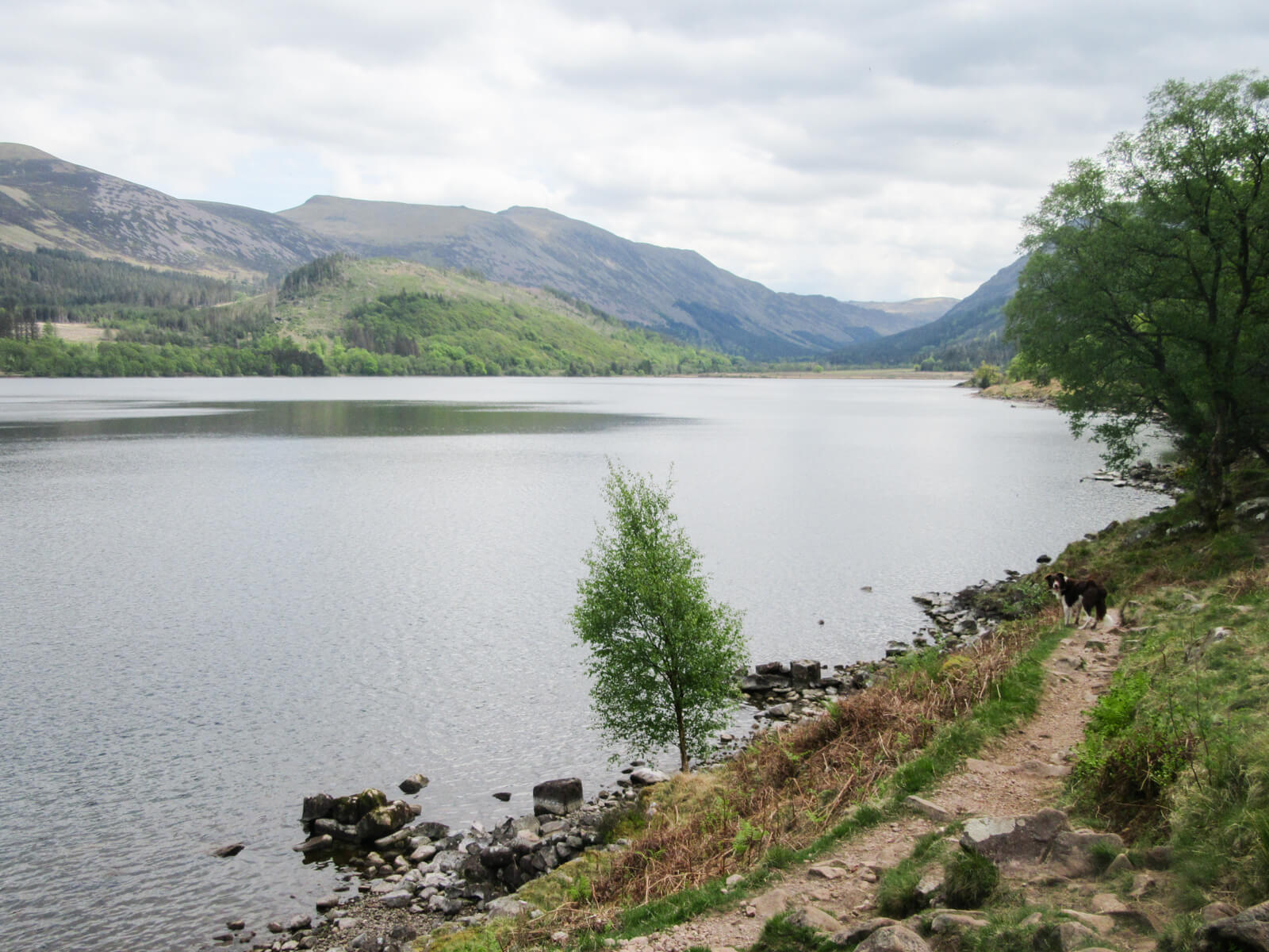 Ennerdale Water Southern Shore