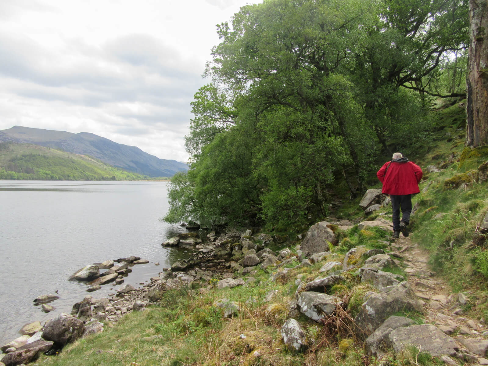 Ennerdale Southern Shore