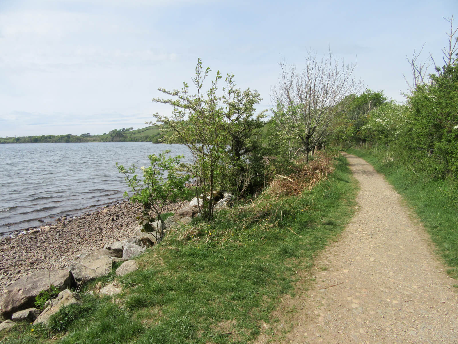 Ennerdale Western Shore