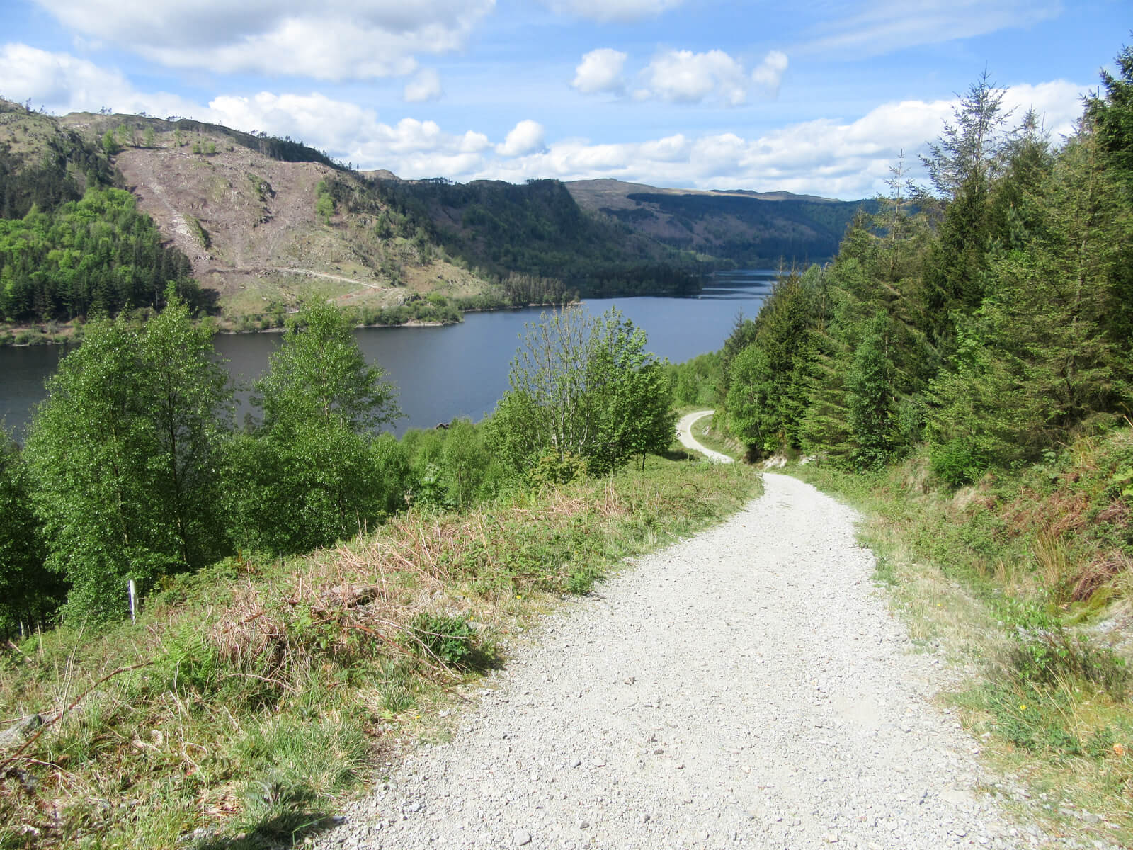 Forestry Track Thirlmere