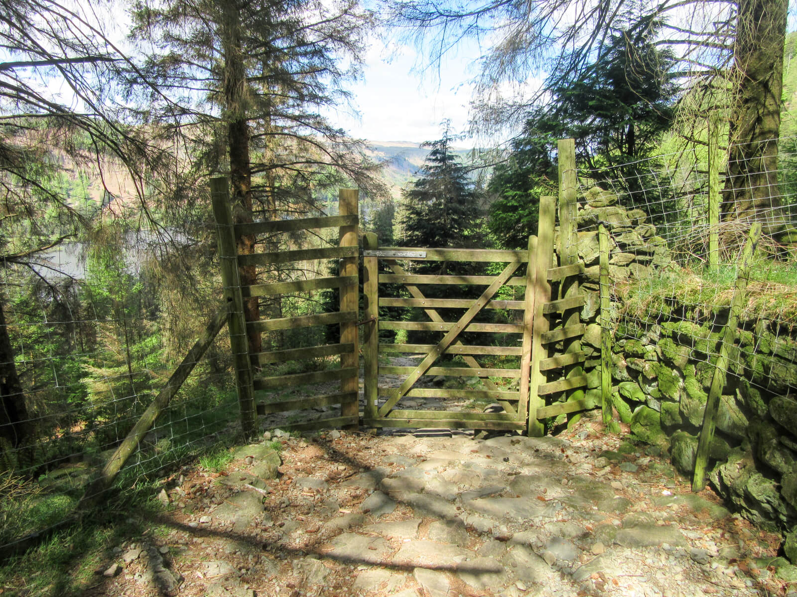 Gate to Forestry Track Thirlmere