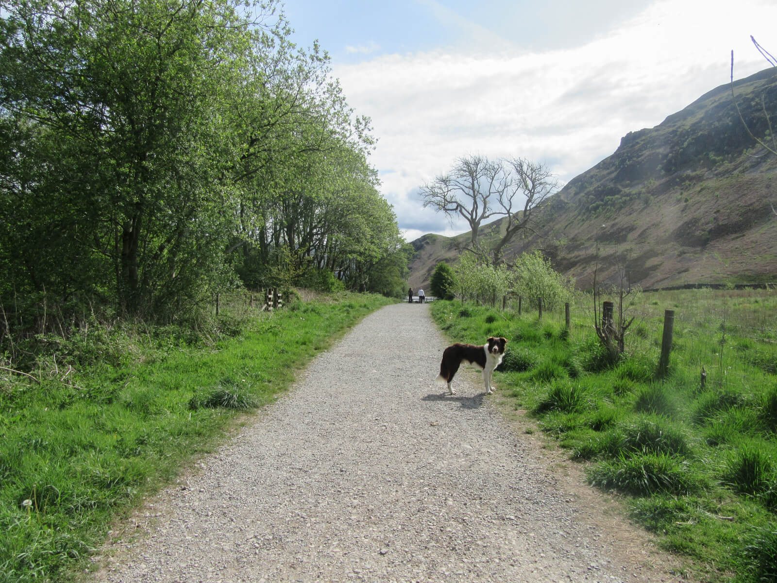 Round the Lake Trail Ennerdale