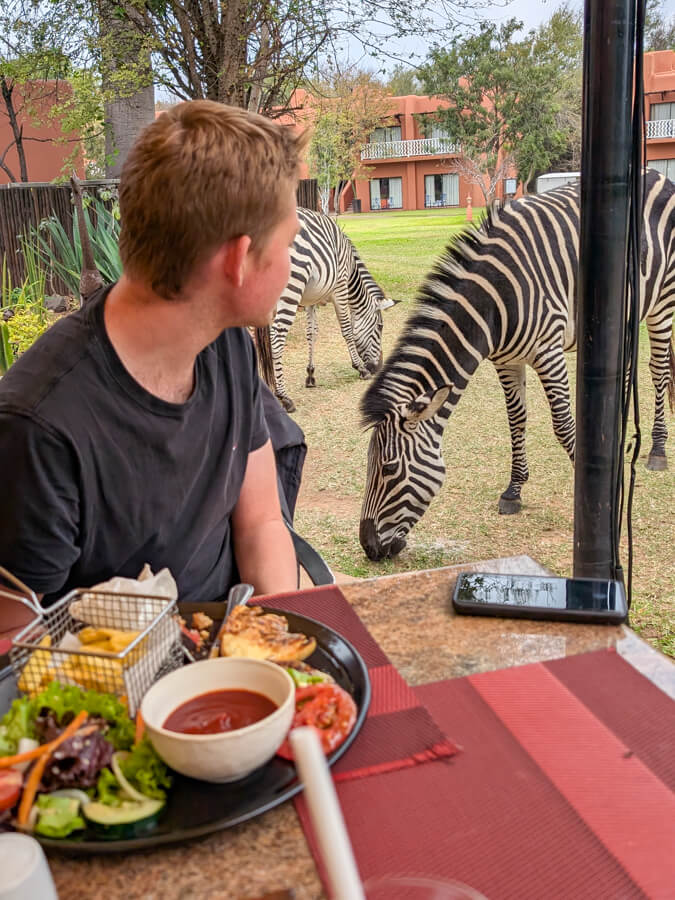 Zebra at Avani Victoria Falls Resort