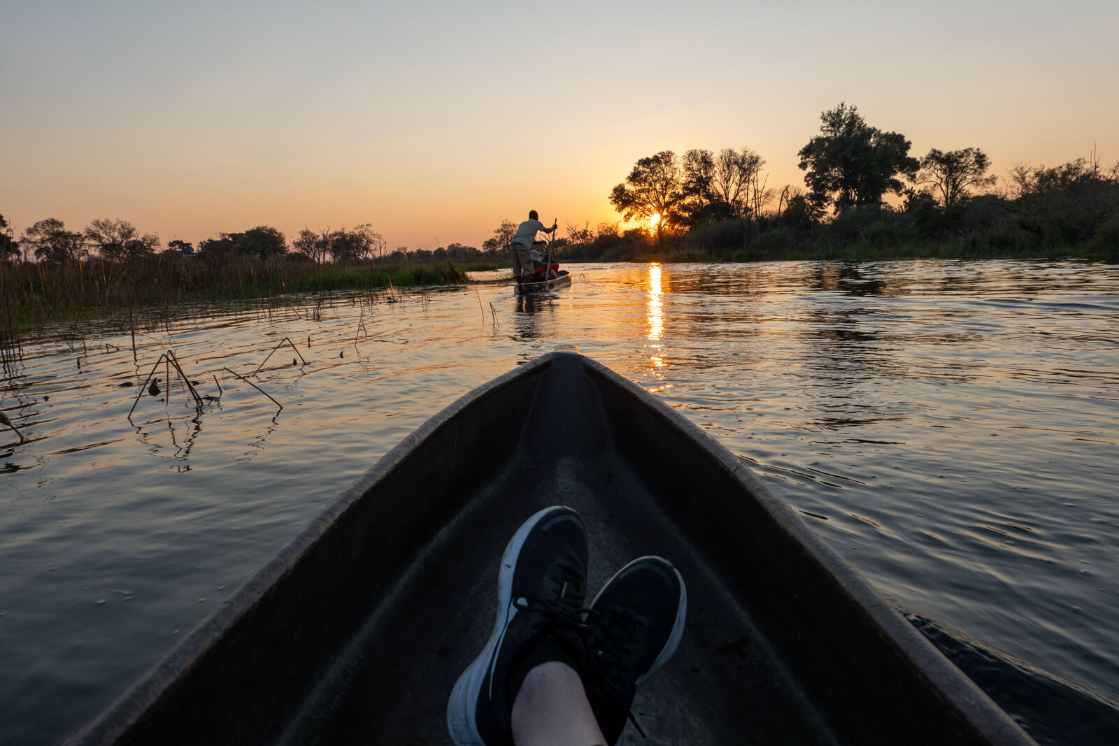View from a mokoro canoe in the Okavango Delta, Botswana