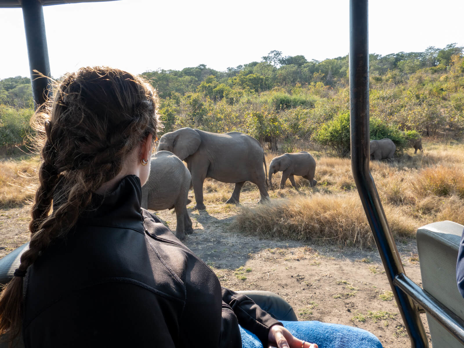 Watching elephants on safari in Chobe National Park, Botswana